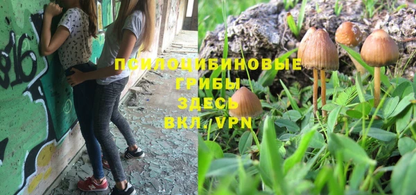 мяу мяу кристалл Киров