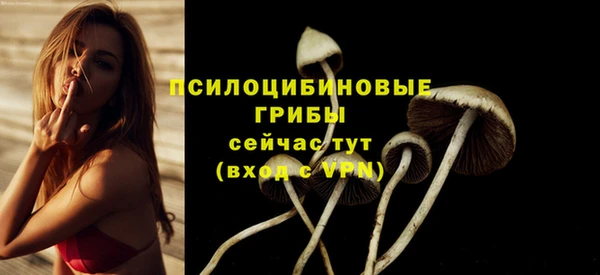 эйфоретик Пенза