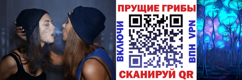 Купить где Нестеров Псилоцибиновые грибы ЛСД